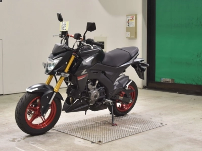 Kawasaki Z125PRO