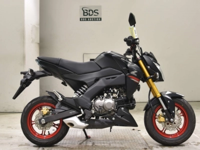 Kawasaki Z125PRO