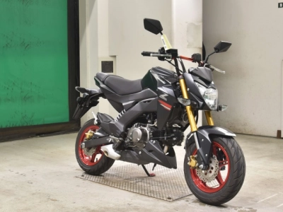Kawasaki Z125PRO
