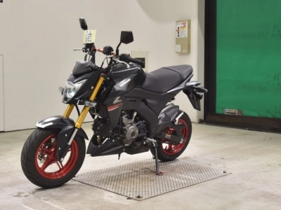 Kawasaki Z125PRO