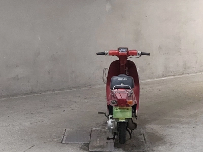 Suzuki RAV