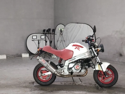 Honda MONKEY