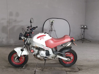 Honda MONKEY