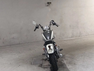 Yamaha VIRAGO 250