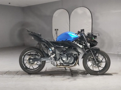 Suzuki GSX250R