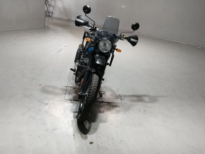 OTHER R ENFIELD HIMARAYAN