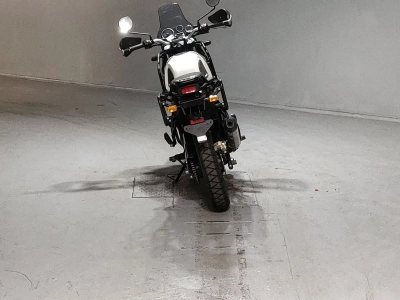 OTHER R ENFIELD HIMARAYAN