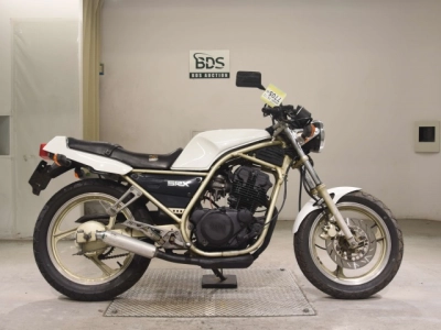 Yamaha SRX250-1