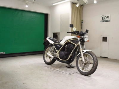 Yamaha SRX250-1