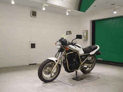 Yamaha SRX250-1