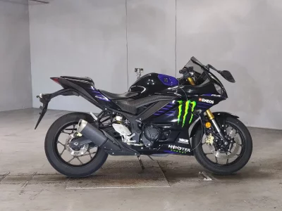 Yamaha YZF-R3 2019
