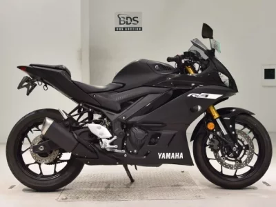 Yamaha YZF-R3 2019