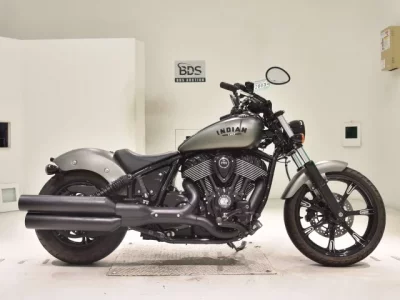 Other INDIAN CHI-FU DARK HOSE 2021