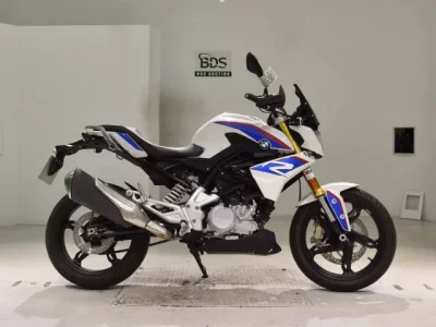 Other BMWG310R 2021