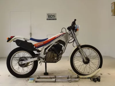 Honda TLR250R