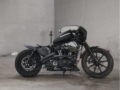 Harley-Davidson HARLEY XL1200NS 2019