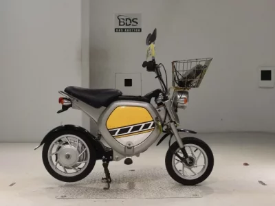 Yamaha EC-02