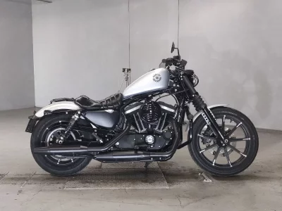 Harley-Davidson HARLEY XL883N 2020
