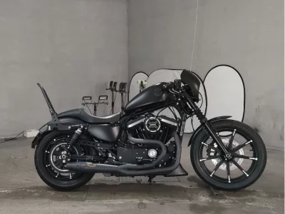 Harley-Davidson HARLEY XL883N 2019