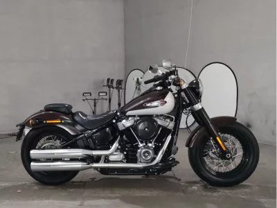 Harley-Davidson HARLEY FLSL1750 2021