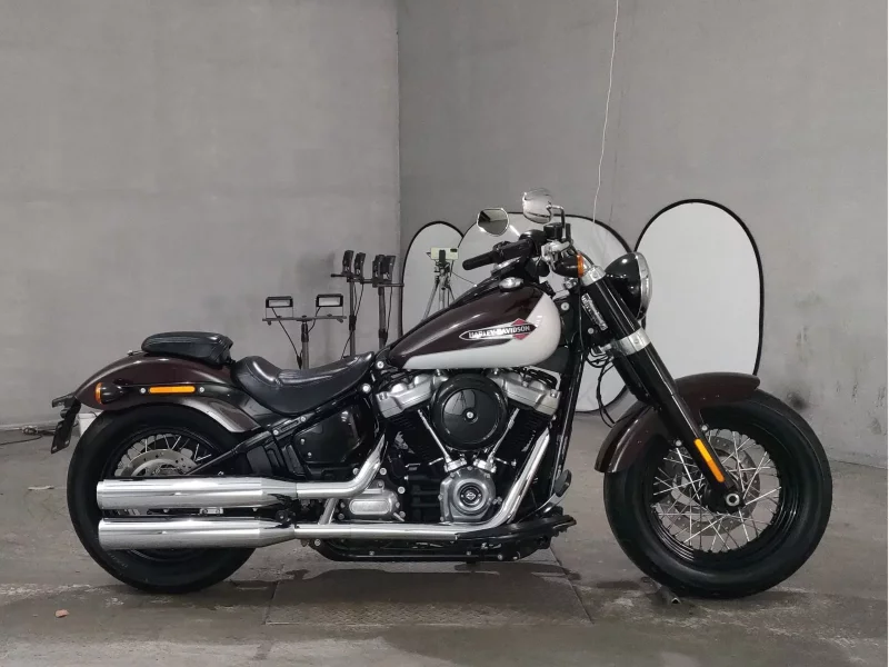 Harley-Davidson HARLEY FLSL1750 лот № 7464 оценка 4.5  с аукциона в Японии