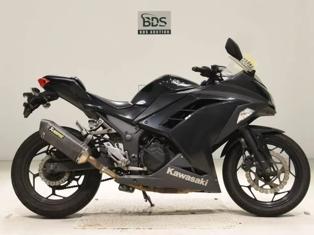 Kawasaki NINJA250 лот № 7921 оценка 4  с аукциона в Японии