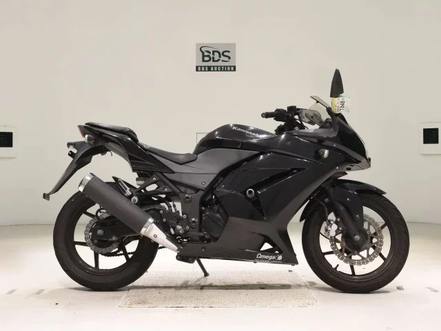 Kawasaki NINJA250R лот № 7848 оценка 4  с аукциона в Японии