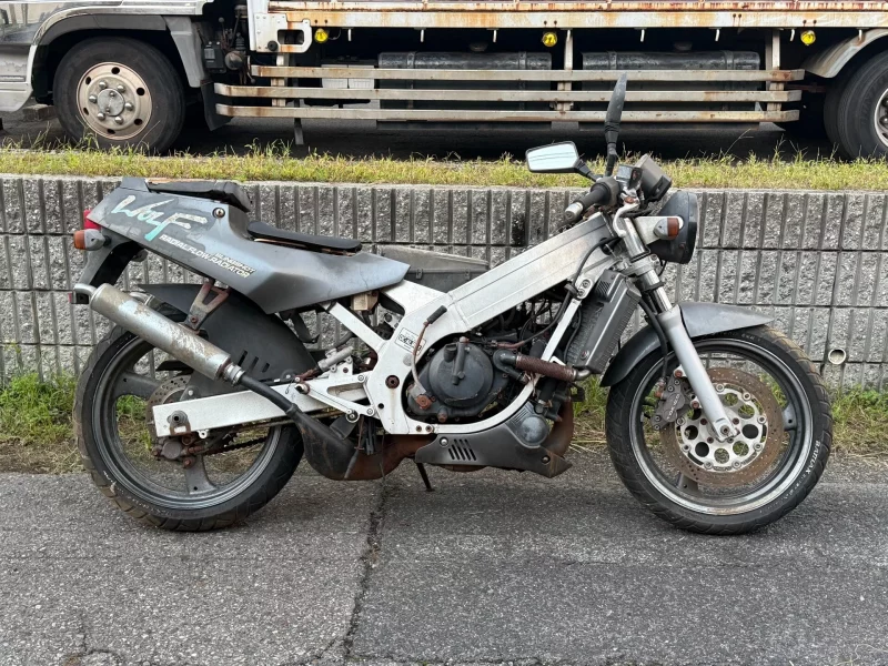 Suzuki WOLF250