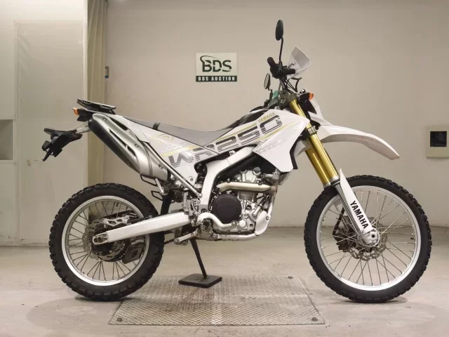 Yamaha WR250R лот № 5233 оценка 4  с аукциона в Японии