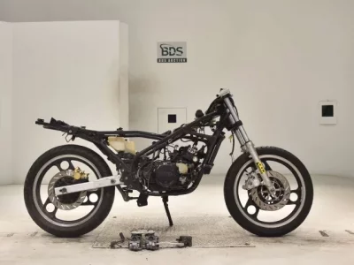 Yamaha RZ250R