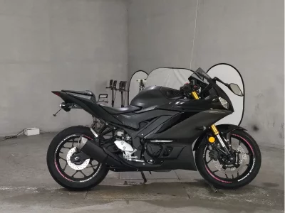 Yamaha YZF-R3 2019