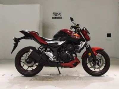 Yamaha MT-25  с аукциона в Японии