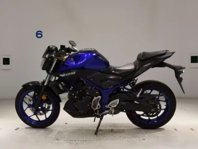Yamaha MT-25  с аукциона в Японии