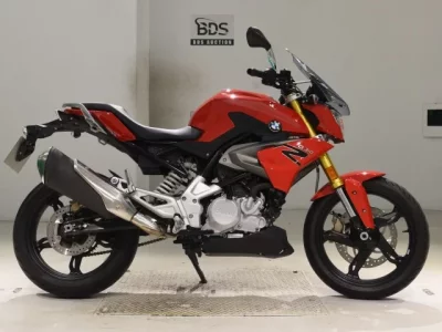 Other BMWG310R 2020