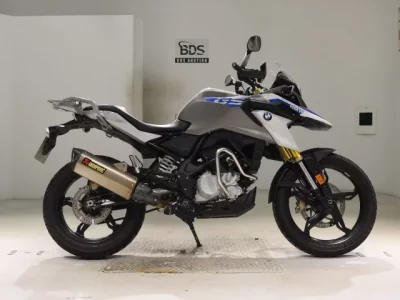 Other BMWG310GS 2019