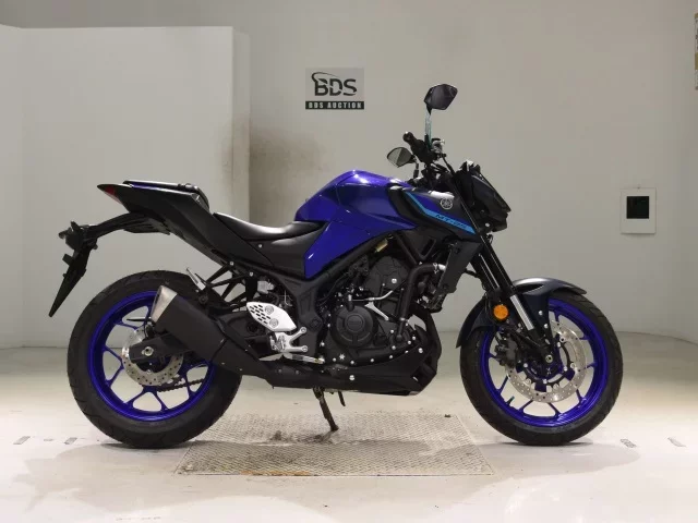 Yamaha MT-25A лот № 2727 оценка 6  с аукциона в Японии