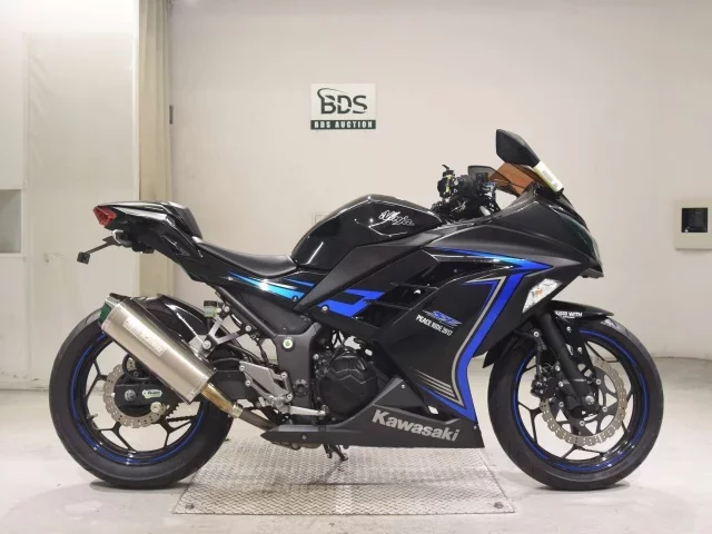 Kawasaki NINJA250 лот № 7548 оценка 4  с аукциона в Японии