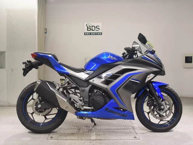 Kawasaki NINJA250ABS лот № 5258 оценка 5  с аукциона в Японии