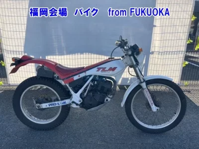 Honda TLM200
