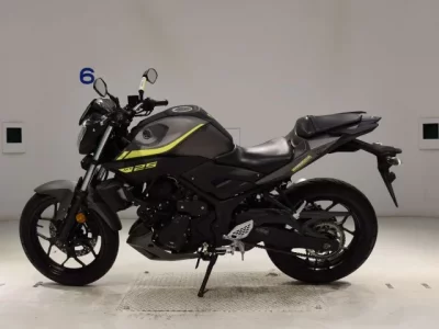 Yamaha MT-25  с аукциона в Японии