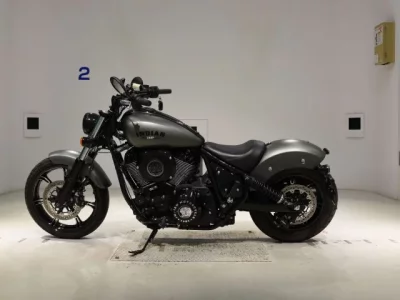 Other INDIAN CHI-FU DARK HOSE лот № 2834 оценка 6  с аукциона в Японии 2