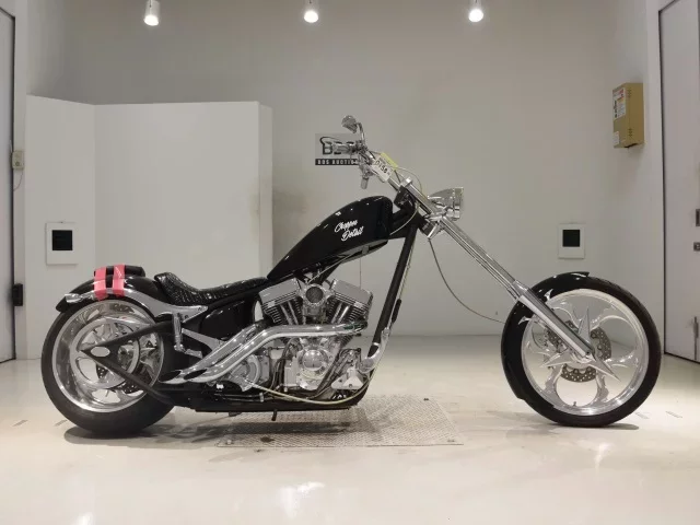 Other KIT BIKE 1900 лот № 0158 оценка 4  с аукциона в Японии