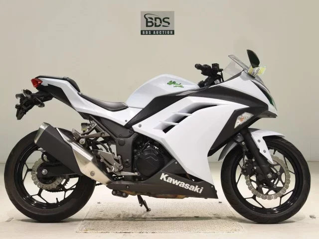Kawasaki NINJA250 лот № 7888 оценка 4  с аукциона в Японии