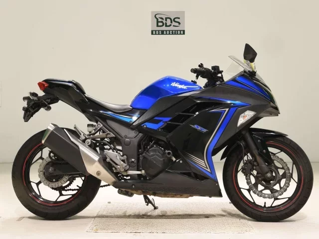 Kawasaki NINJA250 лот № 7678 оценка 4  с аукциона в Японии