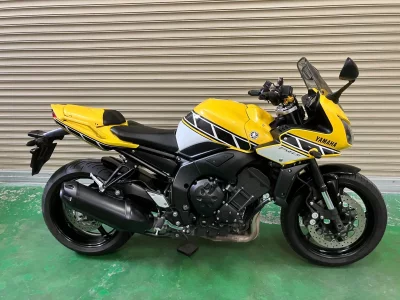 Yamaha FZ-1 FEATHER 2019