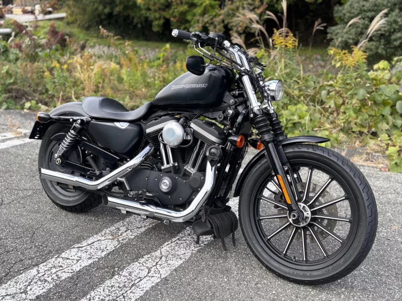 Harley-Davidson HARLEY XL883N лот № 00221 оценка 4  с аукциона в Японии