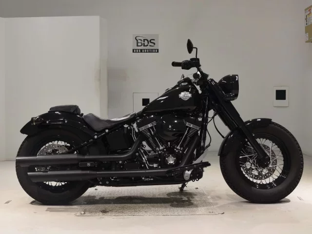 Harley-Davidson HARLEY FLSS1800 лот № 0162 оценка 5  с аукциона в Японии