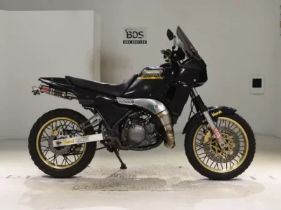 Yamaha TDR250