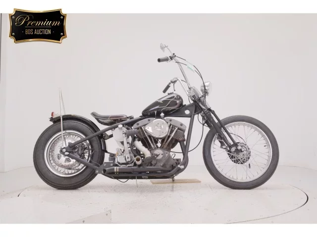 Other KIT BIKE 1200 лот № 0016 оценка 4  с аукциона в Японии