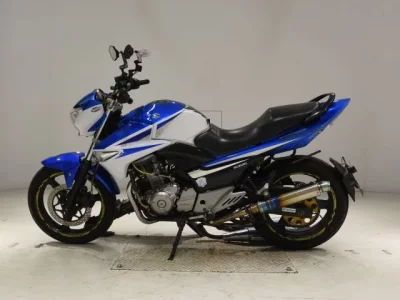 Suzuki GSR250